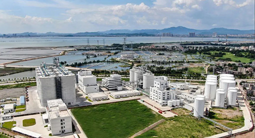 道道全攜手邁安德，2000噸菜籽智慧工廠72小時達產達標