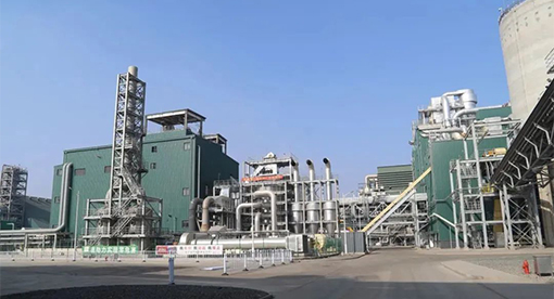 河北嘉好5000噸大豆項目投產(chǎn)