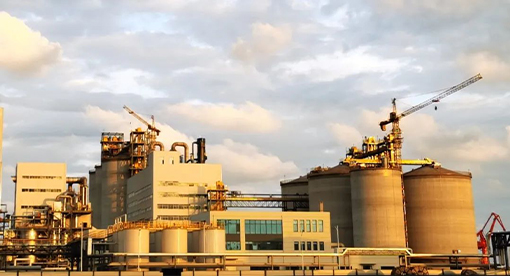 青島渤海董家口6000噸大豆預處理、浸出生產線