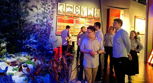 邁安德黨委組織黨員活動